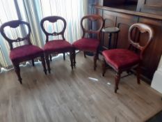 10 x Reproduction mahogny baloon back dining chairs and 2 carver chairs