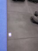 Approx. 100 Gym Flooring Panels 3’ x 3’
