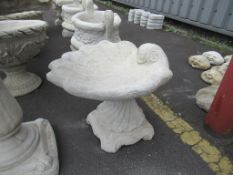 A Shell Bird Bath