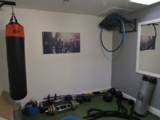 Quantity of boot camp equipment inc ropes, pull up bar and shogun punch bag