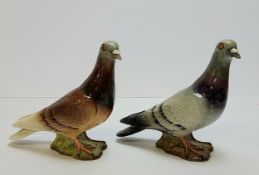 A Beswick pigeon model No. 1383, impressed marks to base, another brown