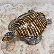 Interior Design - A realistic life-sized Hawksbill turtle, hand painted fibre glass, 85cm in length