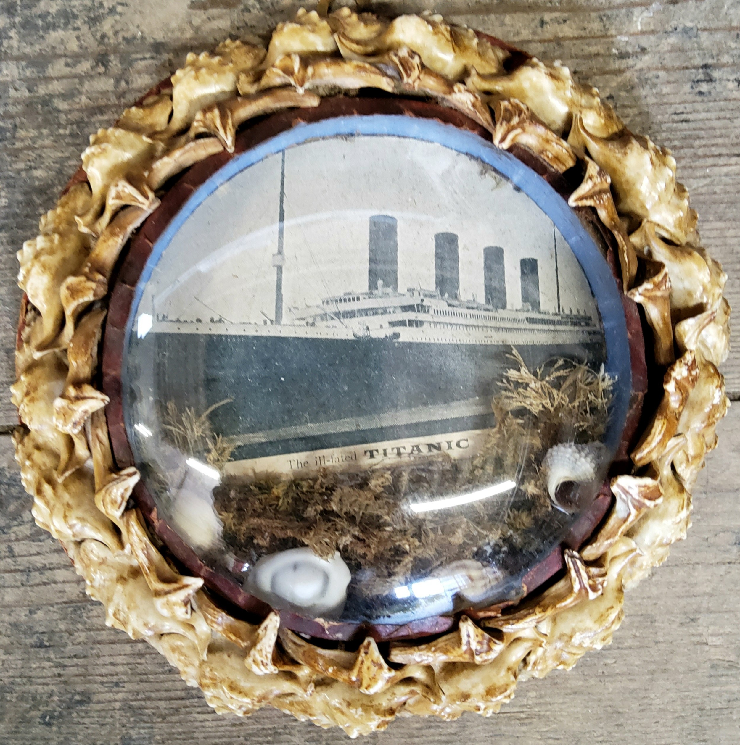 A very good collection of Fourteen Victorian shell-work souvenir porthole pictures, late 19th/ - Image 6 of 17