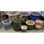 Various garden plant pots