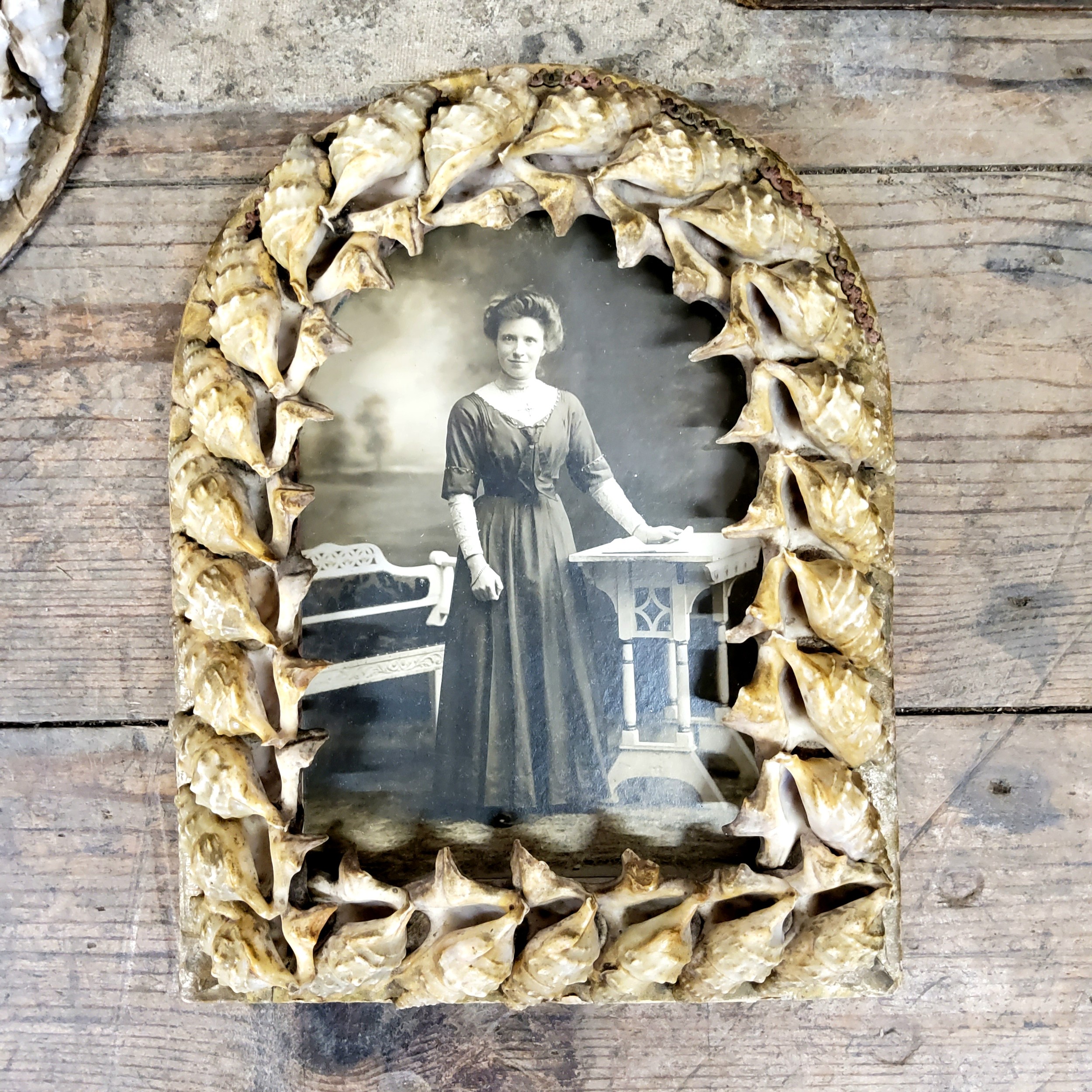 A very good collection of Fourteen Victorian shell-work souvenir porthole pictures, late 19th/ - Image 17 of 17