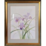 Gill Newman " Irises Hassop Hall " watercolour on paper, signed in pencil Gill Newman '90 29 x