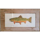 After Eileen Klatt, Brook Trout (Salvelinus fontinalis) from Cocalalla Creek, Idaho, 24.5 x 55cms,