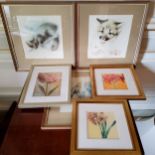 Pictures & prints including three wildlife studies etc. (6)