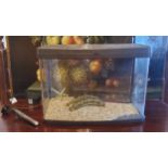 A 64 litre glass panorama aquarium (boxed)