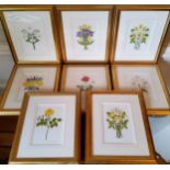 By & after Alexandra Goudard, a set of fifteen botanical art prints, signed in pencil, Barnaby