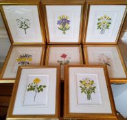 By & after Alexandra Goudard, a set of fifteen botanical art prints, signed in pencil, Barnaby