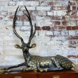 A large Indian blackened brass recumbent Chital 95 L x 88cms H