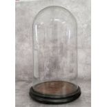 A Victorian glass dome on stand 41cm high, excellent condition.