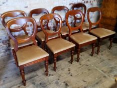 A set of eight Victorian mahogany balloon back dining chairs, gold upholstery pads Height 88cm (seat