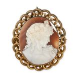 AN ANTIQUE CARVED SHELL CAMEO together with an unassociated brooch mount for a cameo, no assay