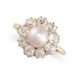 A NATURAL PEARL AND DIAMOND CLUSTER RING in yellow gold, set with a natural pearl of 7.6mm, within a