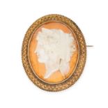 AN ANTIQUE SHELL CAMEO BROOCH in yellow gold, the oval body set with a shell cameo carved in