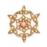 AN ANTIQUE CORAL AND PEARL BROOCH, 19TH CENTURY in 15ct yellow gold, set with a round cabochon coral
