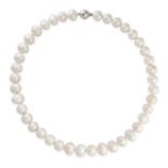 A PINK PEARL NECKLACE comprising a single row of pink pearls, stamped 375, 44.0cm, 36.4g.