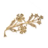 AN ANTIQUE PEARL FLOWER BROOCH in 9ct yellow gold, designed as a spray of foliage, set with