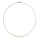 A PEARL AND DIAMOND NECKLACE comprising of a single row of pearls ranging from 3.3mm to 7mm, the