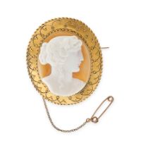 AN ANTIQUE HARDSTONE CAMEO BROOCH in yellow gold, the oval body set with a hardstone cameo carved in