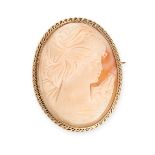 A SHELL CAMEO BROOCH in 9ct yellow gold, comprising a carved shell cameo depicting the bust of a