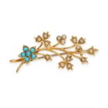 AN ANTIQUE TURQUOISE AND PEARL FLOWER BROOCH in 15ct yellow gold, designed as a spray of foliage,