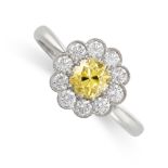 A FANCY VIVID YELLOW DIAMOND AND DIAMOND CLUSTER RING set with an old cut fancy vivid yellow diamond