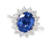 A SAPPHIRE AND DIAMOND CLUSTER RING in 18ct white gold, set with an oval cut blue sapphire of 3.00