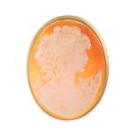 TWO VINTAGE SHELL CAMEO BROOCHES in 9ct and 18ct yellow gold, one depicting the bust of a woman