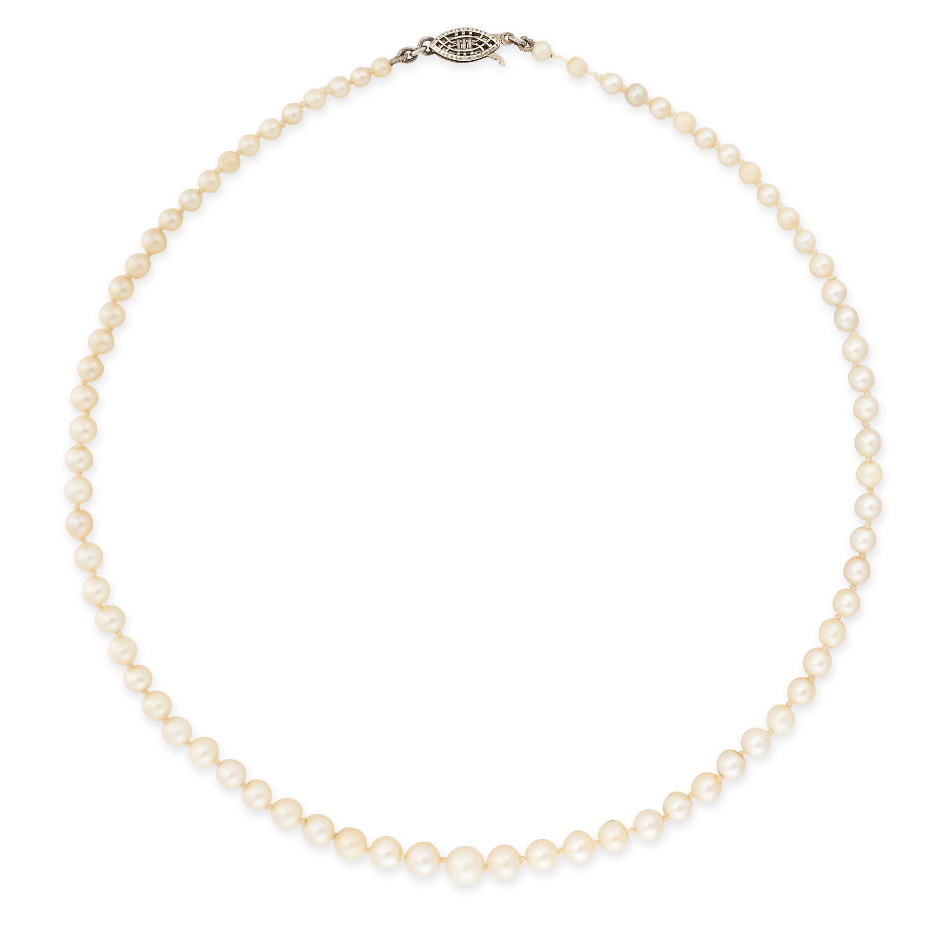 A PEARL NECKLACE comprising a single row of graduated pearls ranging 3.1mm to 6.2mm, no assay marks,