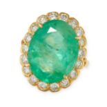 AN EMERALD AND DIAMOND CLUSTER RING in 14ct yellow gold, set with an oval cut emerald of 14.25