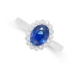 A SAPPHIRE AND DIAMOND CLUSTER RING in 18ct white gold, set with an oval cut sapphire of 1.80 carats