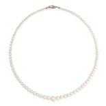 A PEARL AND DIAMOND NECKLACE in 18ct yellow gold, comprising of a single row of cultured pearls