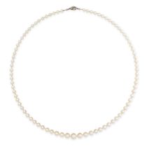 A PEARL AND DIAMOND NECKLACE in 18ct yellow gold, comprising of a single row of cultured pearls