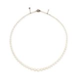 A PEARL AND DIAMOND NECKLACE comprising a single row of of pearls ranging from 3.2mm to 8.2mm, the