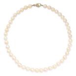 A PEARL AND DIAMOND NECKLACE comprising a single row of pearls, the clasp set with rose cut