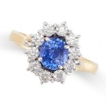 A SAPPHIRE AND DIAMOND CLUSTER RING in 18ct gold, set with an oval cut sapphire of 1.54 carats in