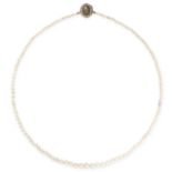 AN ANTIQUE PEARL NECKLACE comprising a single row of graduated pearls, the oval clasp set with an