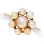 A VINTAGE PEARL CLUSTER RING in 18ct yellow gold, set with a cluster of pearls, stamped 18CT, size P