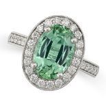 A GREEN TOURMALINE AND DIAMOND HALO RING in platinum, set with an oval cut green tourmaline of 3.
