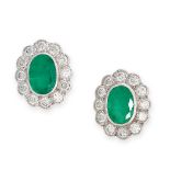 A PAIR OF EMERALD AND DIAMOND CLUSTER STUD EARRINGS in 18ct white gold, each set with an oval cut