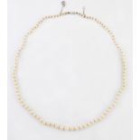 A CULTURED PEARL NECKLACE