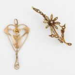 AN ART NOUVEAU PENDANT AND A SEED PEARL SPRAY BROOCH