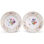 A PAIR OF MEISSEN BOTANICAL PLATES, LATE 19TH CENTURY