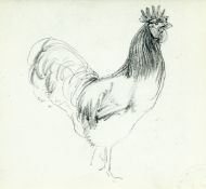 LUCY ELIZABETH KEMP-WELCH (1869-1958), "TENPENCE THE COCKEREL"