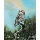 ALAN M. HUNT (BORN 1947), TAWNY OWL