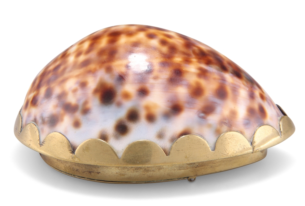 A 19TH CENTURY BRASS-MOUNTED COWRIE SHELL SNUFF BOX