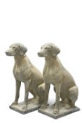 A PAIR OF RECONSTITUTED STONE HUNTING DOGS